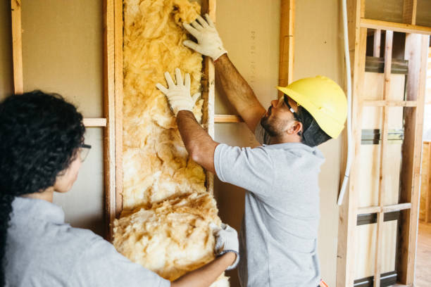 Professional Insulation in Diamond, MO